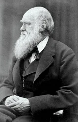 Charles Darwin, 1875